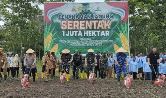 polri-telah-menanamkan-jagung-di-lahan-600-ribu-ha