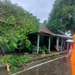 Angin Kencang Guyur Aceh & Sulsel Hari Ini