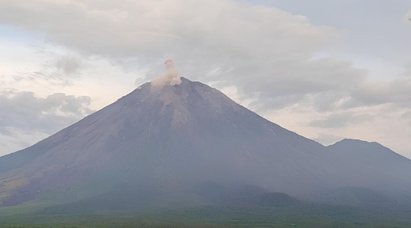 Abu Vulkanik Semeru Capai 500 Meter Tinggi