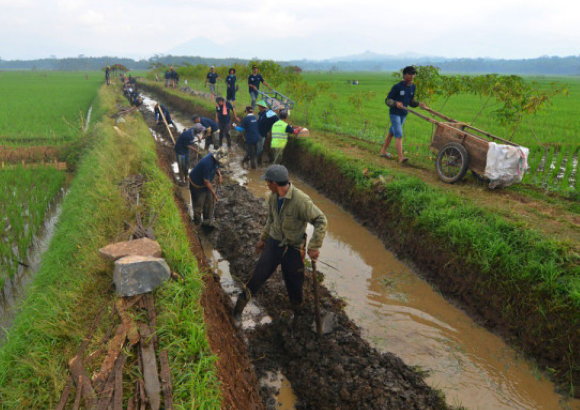 Cuaca Ekstrem Indonesia Berdampak pada Sektor Pertanian