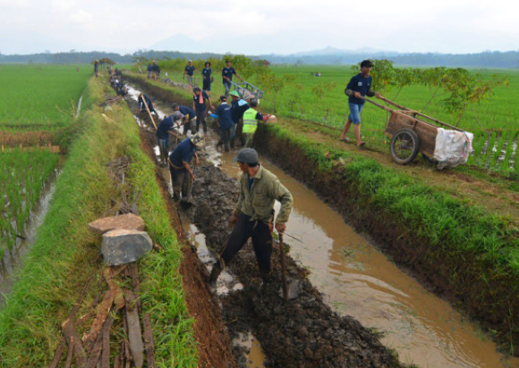 Cuaca Ekstrem Indonesia Berdampak pada Sektor Pertanian